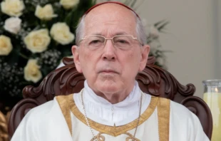 Cardinal Juan Luis Cipriani is pictured here during a 2017 liturgical celebration in Lima, Peru. Credit: Eduardo Berdejo/ACI Prensa